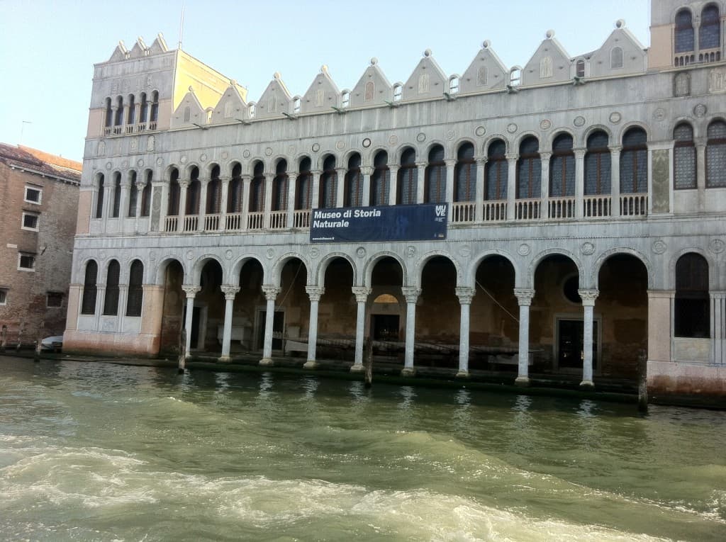 Musée d'histoire naturelle